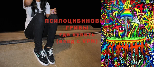 сатива Няндома