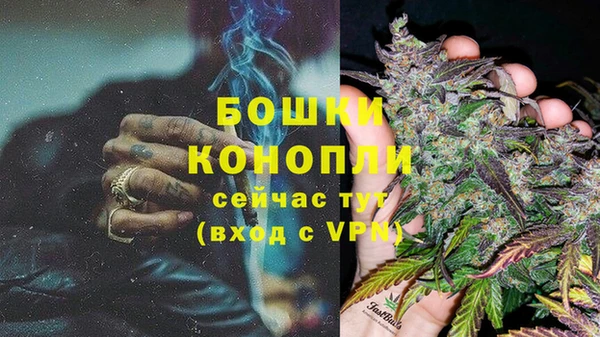 сатива Няндома