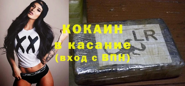 PSILOCYBIN Новодвинск