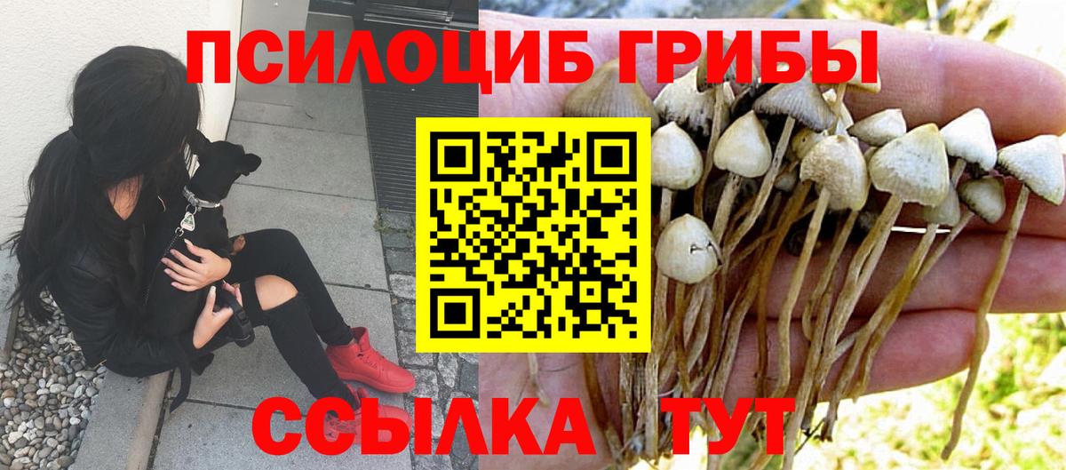 Нижний Тагил  Псилоцибиновые грибы мицелий  Вход с VPN 
